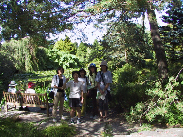 This picture is for quick loading of picture.