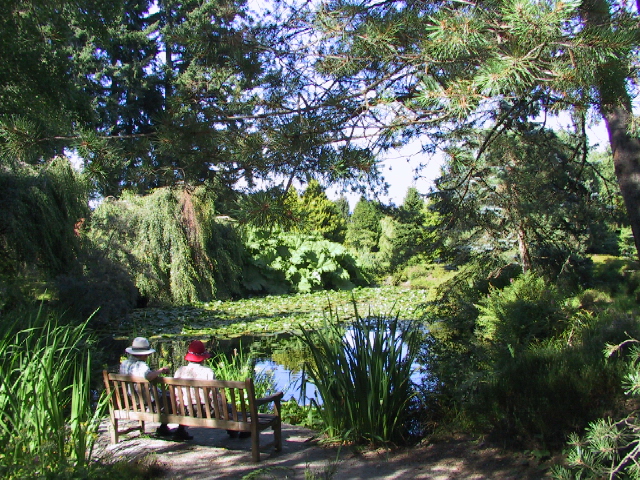 This picture is for quick loading of picture.