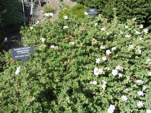 This picture is for quick loading of picture.