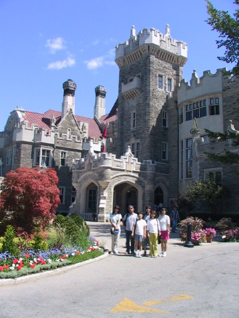 This picture is for quick loading of picture.