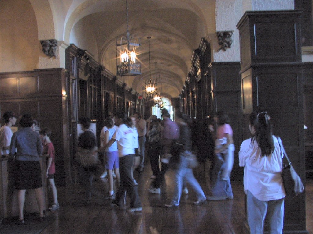 This picture is for quick loading of picture.