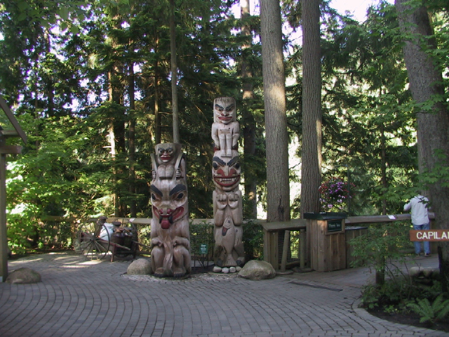 This picture is for quick loading of picture.