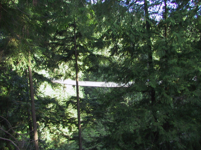 This picture is for quick loading of picture.