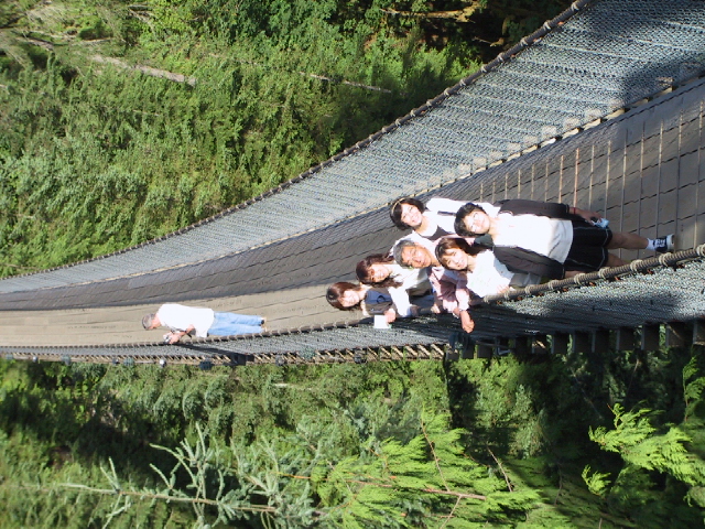 This picture is for quick loading of picture.