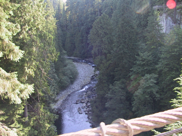 This picture is for quick loading of picture.