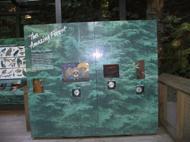 This picture is for quick loading of picture.