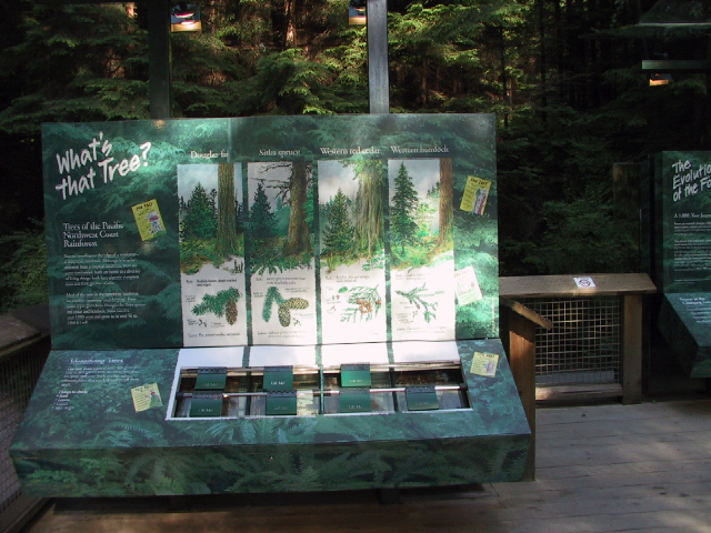 This picture is for quick loading of picture.