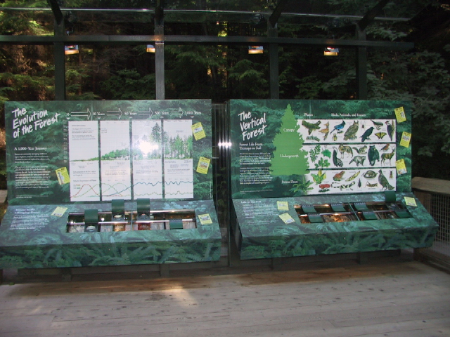 This picture is for quick loading of picture.