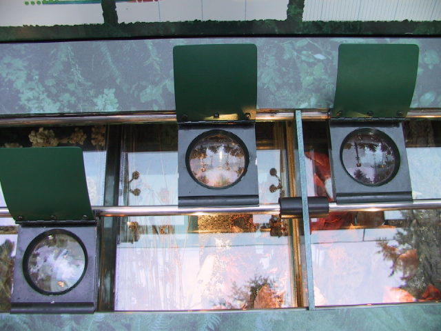 This picture is for quick loading of picture.