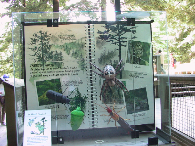 This picture is for quick loading of picture.