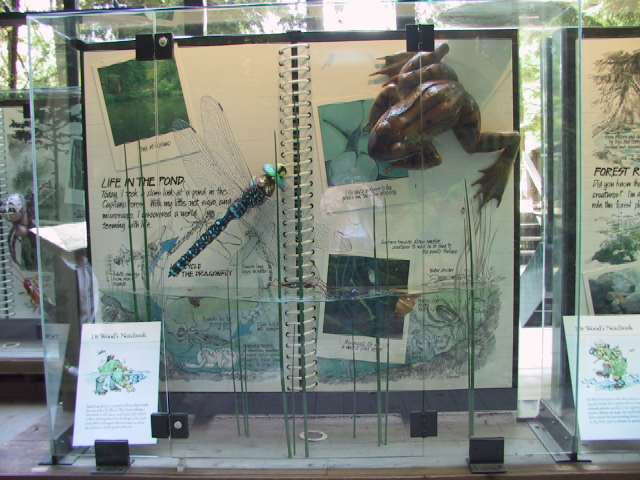 This picture is for quick loading of picture.