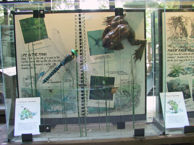 This picture is for quick loading of picture.