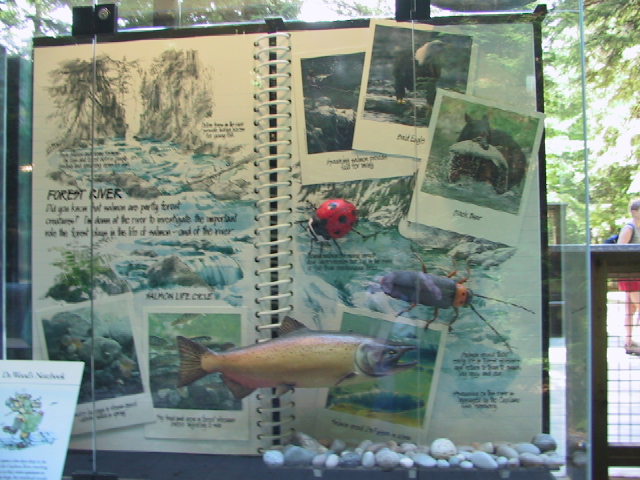 This picture is for quick loading of picture.