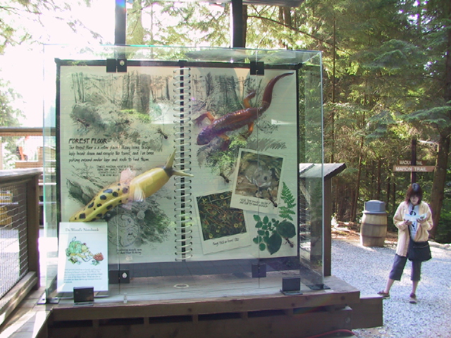 This picture is for quick loading of picture.