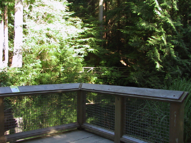 This picture is for quick loading of picture.