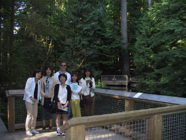 This picture is for quick loading of picture.