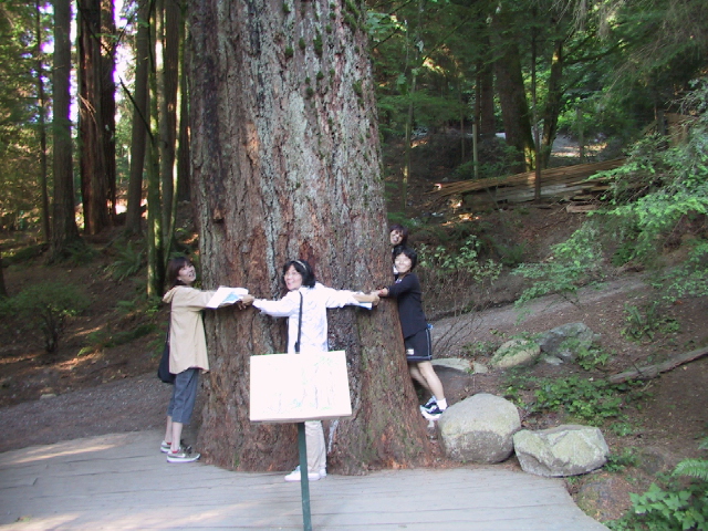 This picture is for quick loading of picture.