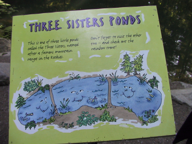 This picture is for quick loading of picture.