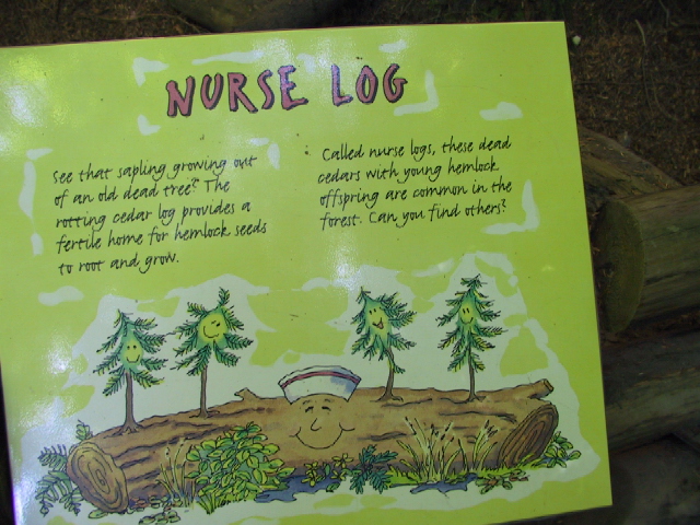 This picture is for quick loading of picture.