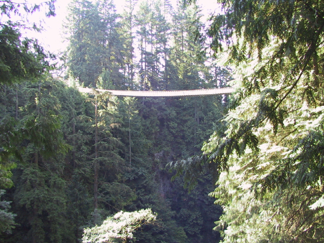 This picture is for quick loading of picture.