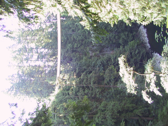 This picture is for quick loading of picture.