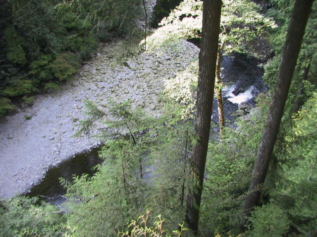 This picture is for quick loading of picture.