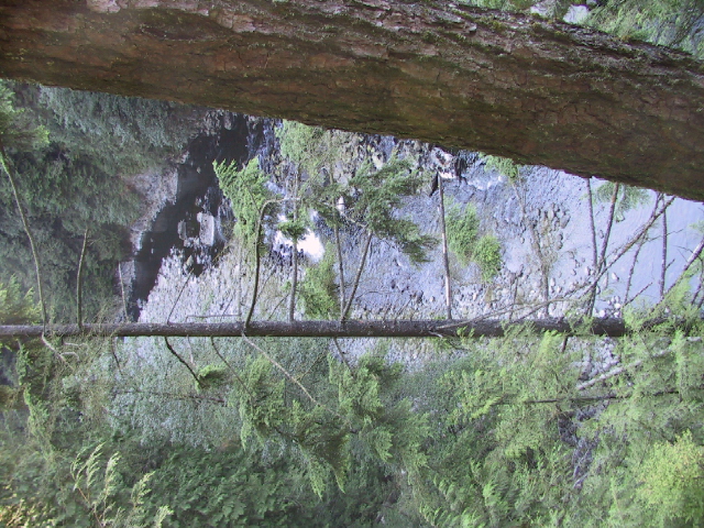 This picture is for quick loading of picture.