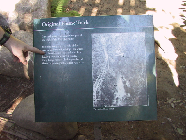 This picture is for quick loading of picture.