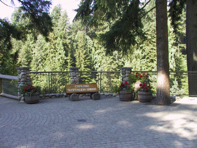 This picture is for quick loading of picture.