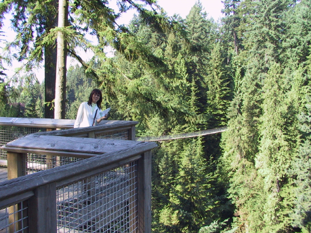 This picture is for quick loading of picture.