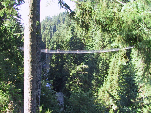 This picture is for quick loading of picture.