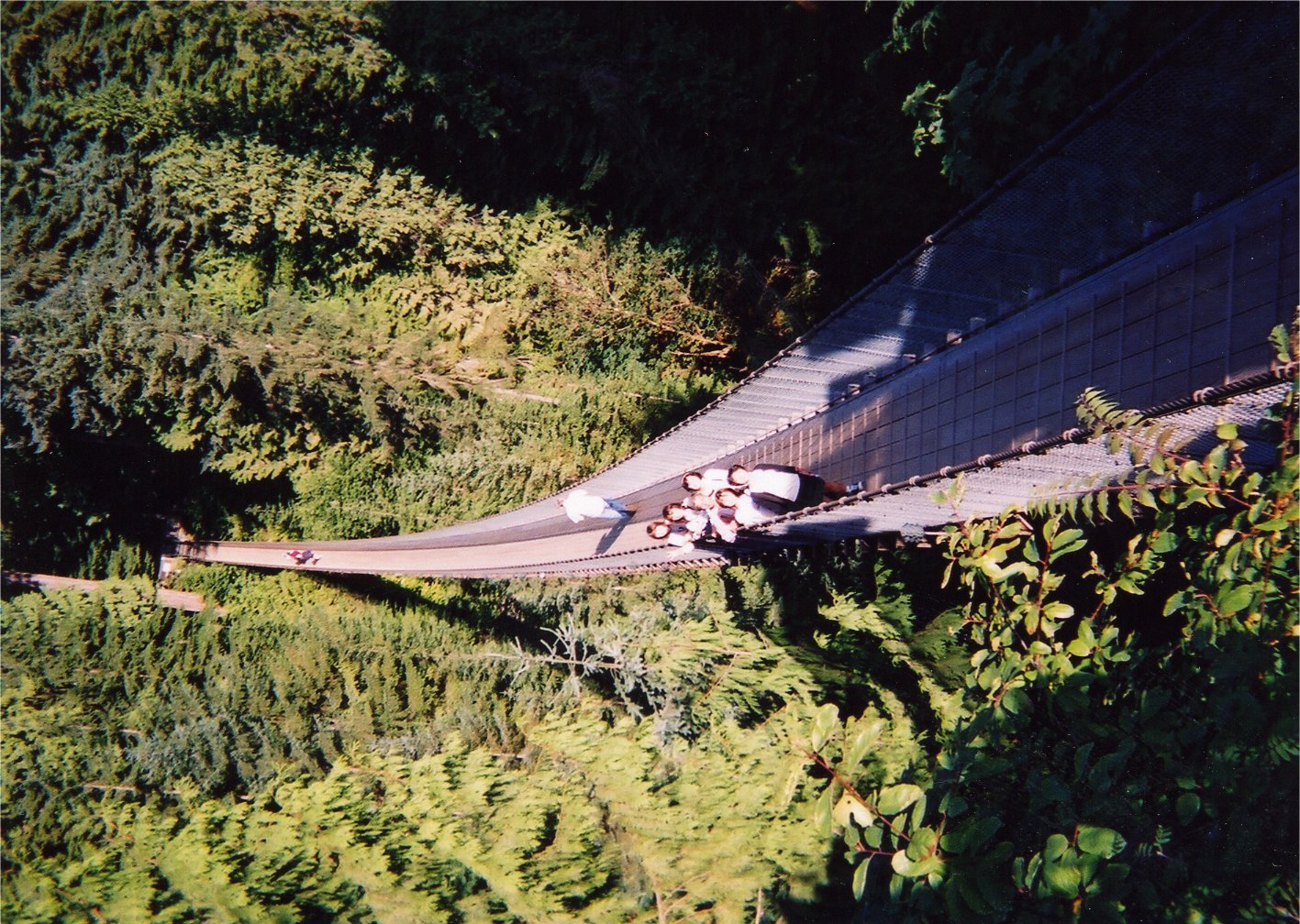 This picture is for quick loading of picture.