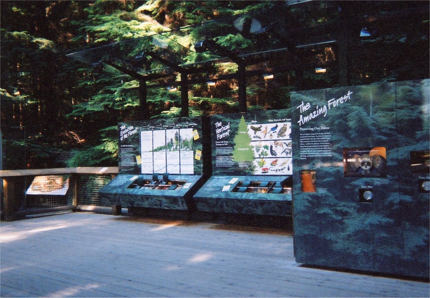 This picture is for quick loading of picture.