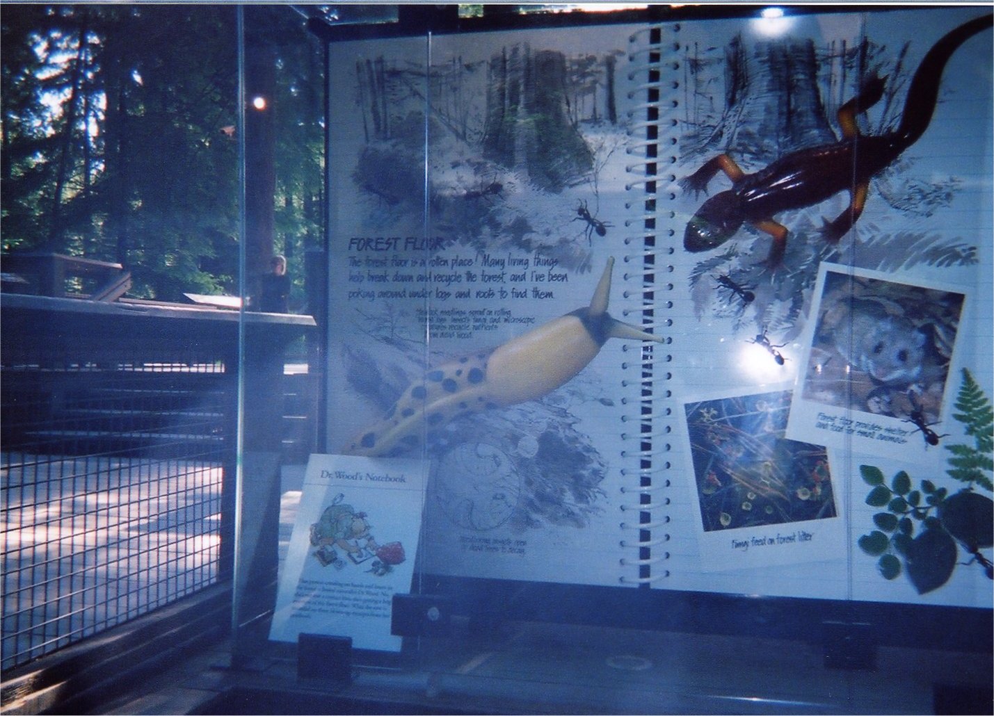 This picture is for quick loading of picture.