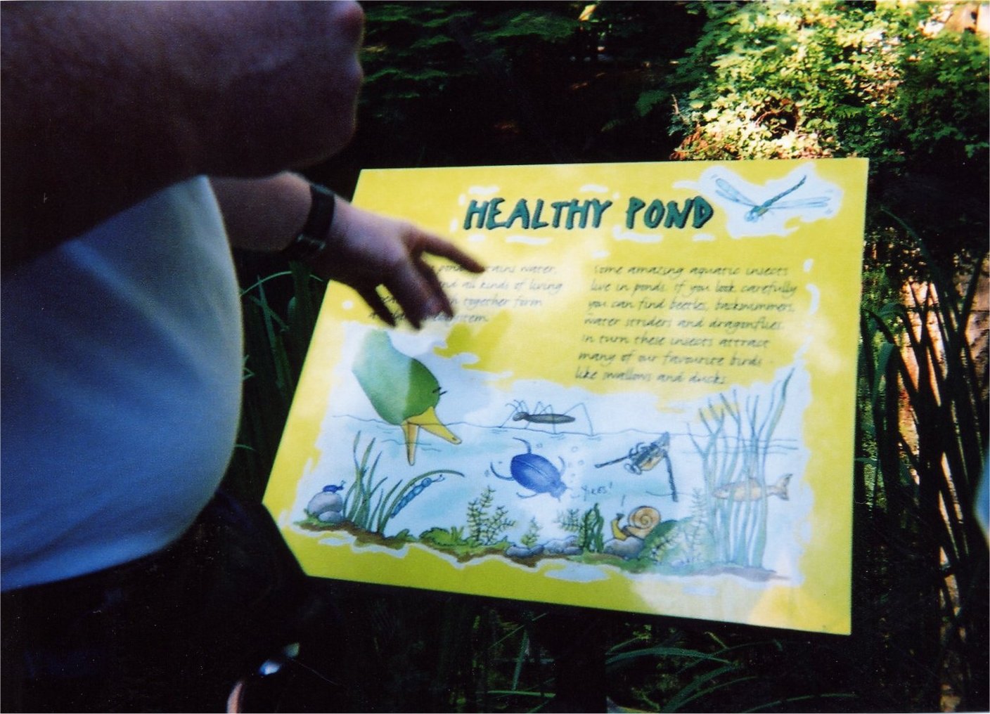 This picture is for quick loading of picture.