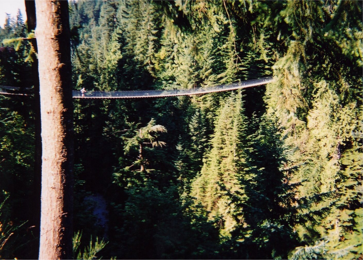 This picture is for quick loading of picture.