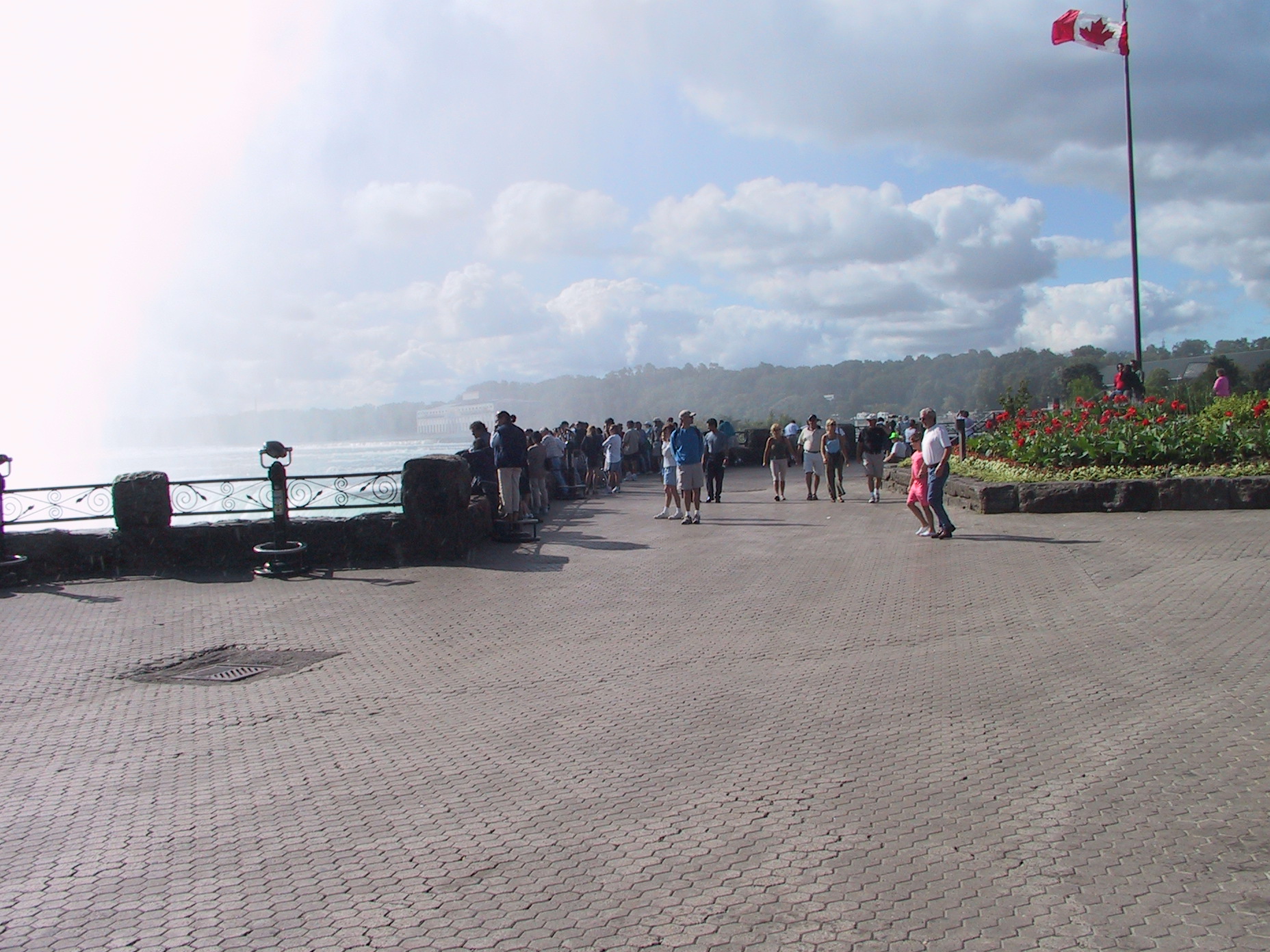 This picture is for quick loading of picture.