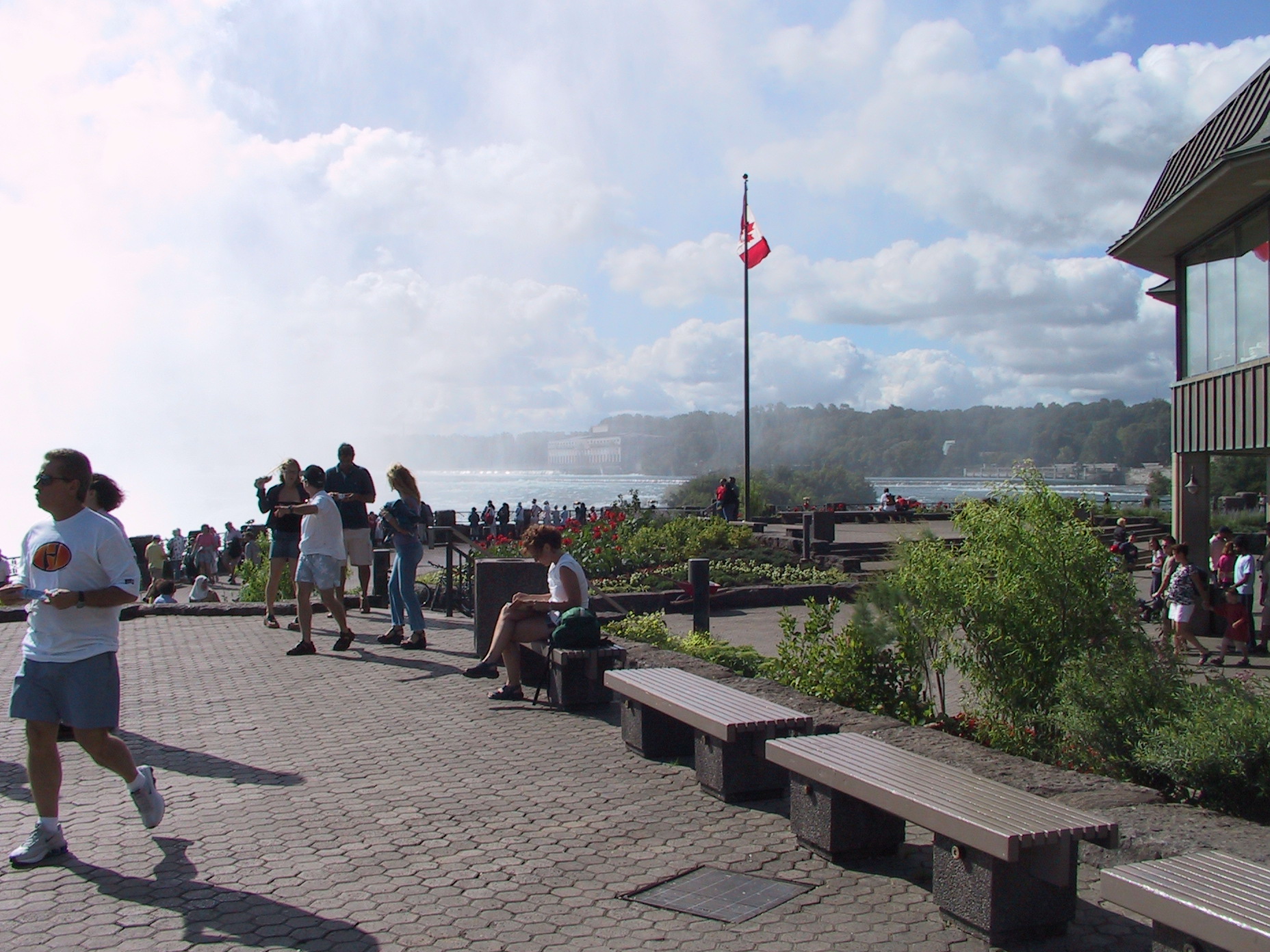 This picture is for quick loading of picture.