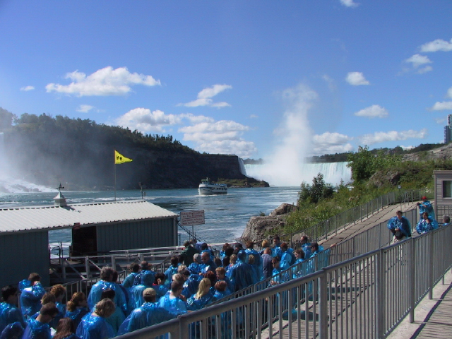 This picture is for quick loading of picture.