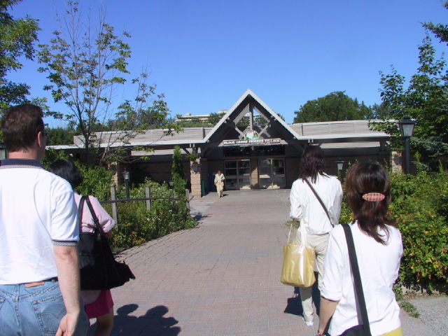 This picture is for quick loading of picture.