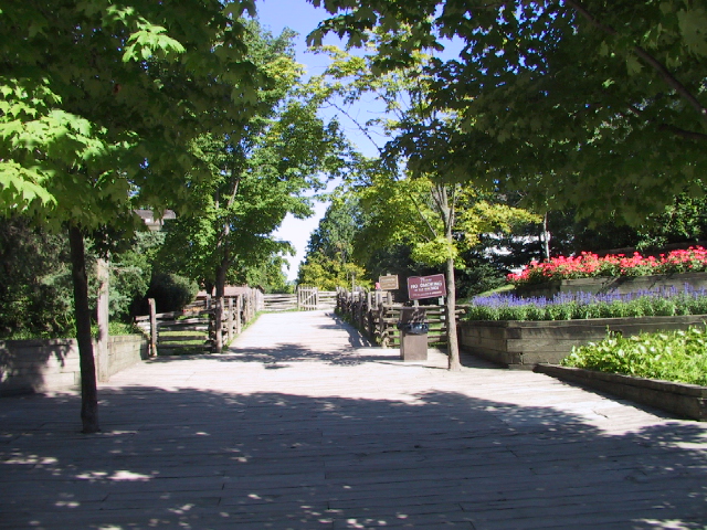 This picture is for quick loading of picture.