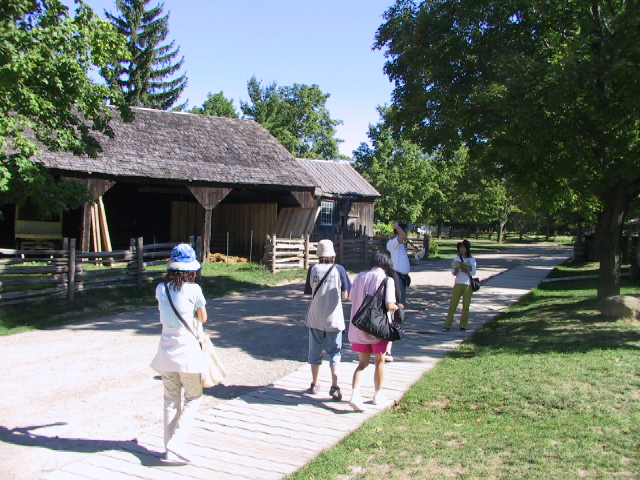 This picture is for quick loading of picture.