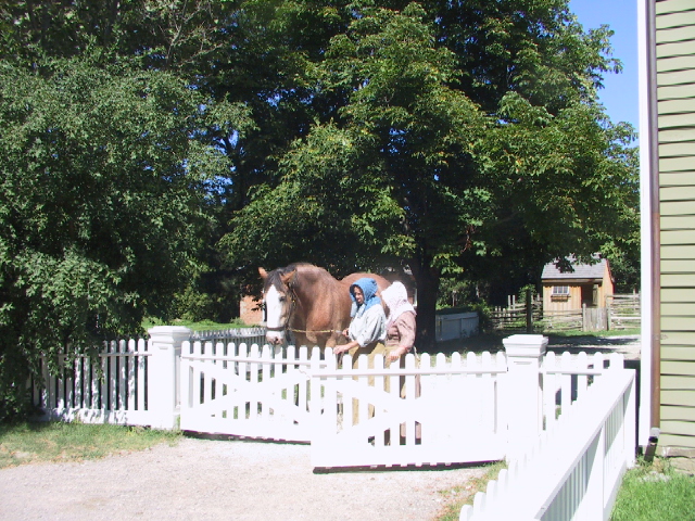 This picture is for quick loading of picture.