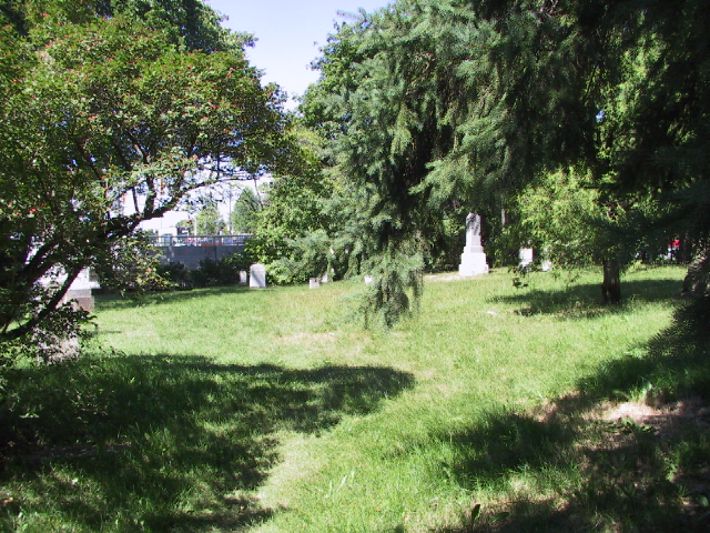 This picture is for quick loading of picture.