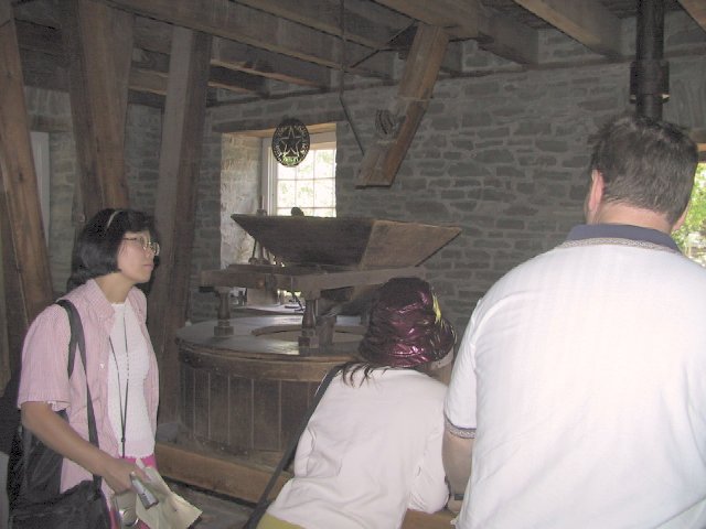 This picture is for quick loading of picture.