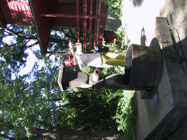 This picture is for quick loading of picture.