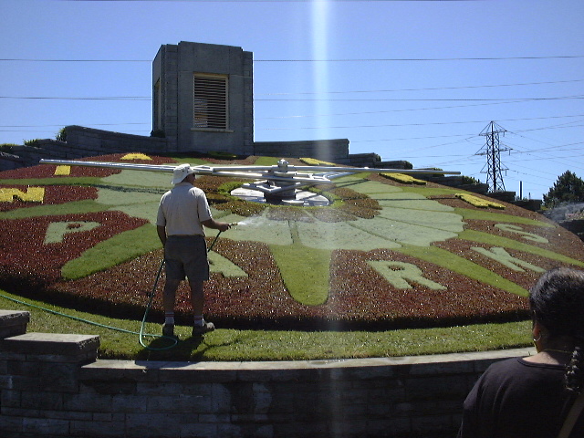 This picture is for quick loading of picture.