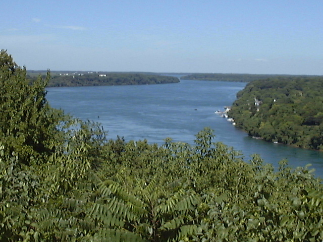 This picture is for quick loading of picture.