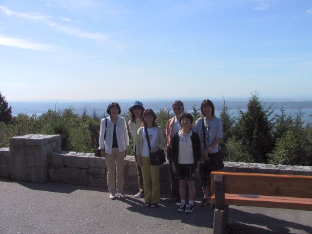 This picture is for quick loading of picture.