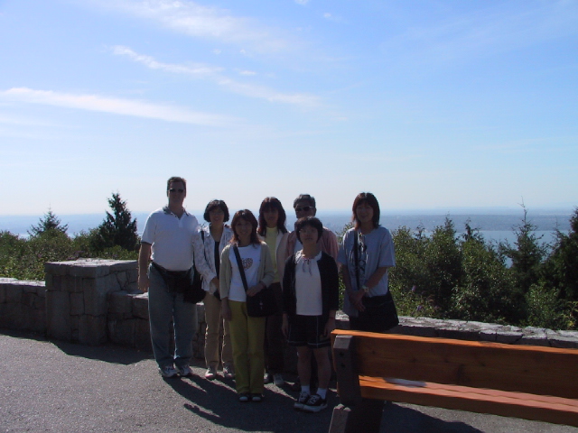 This picture is for quick loading of picture.